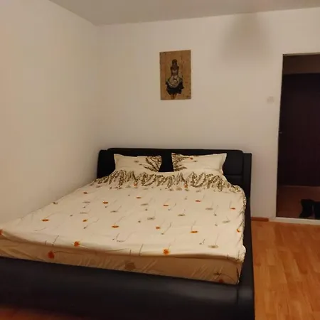 Apartament Metroufavoritgarsonieraaficotroceni Bucureşti